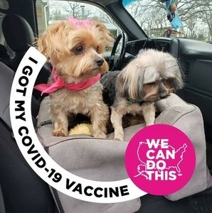 Meet your Posher, Carolyn